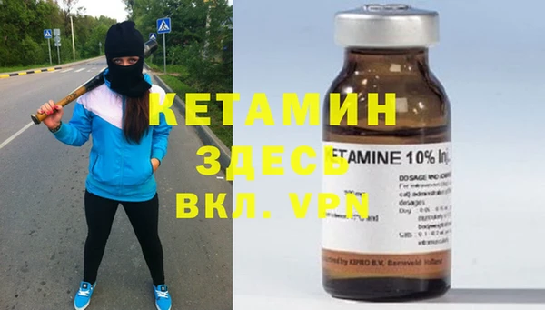 стаф Верея
