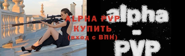 стаф Верея