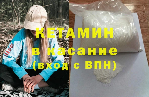 стаф Верея