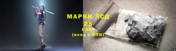 стаф Верея