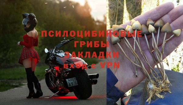 шишки Верхнеуральск
