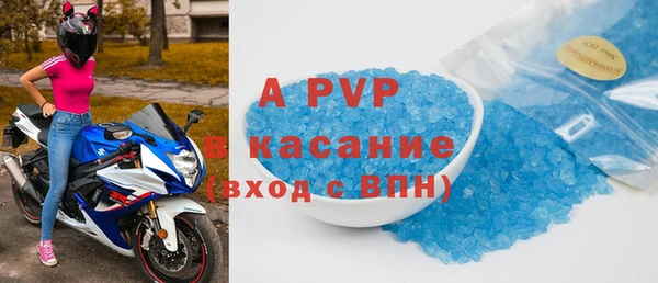 стаф Верея