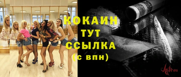 стаф Верея